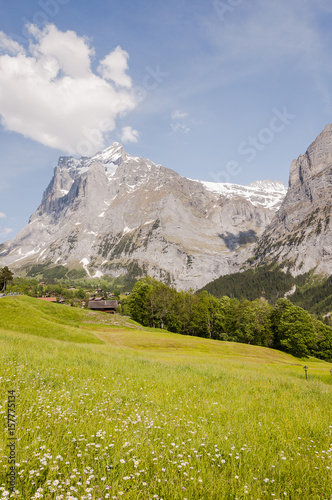 Grindelwald, Dorf, Bergdorf, Alpen, Berner Oberland, Wetterhorn, Grosse Scheidegg, Wanderweg, Frühling, Sommer, Schweiz © bill_17