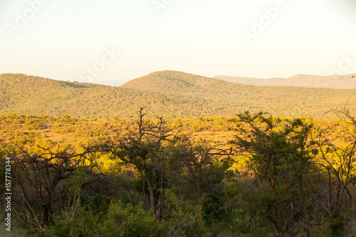 The wilderness in the Hluhluwe umfolozi park, South Africa. photo