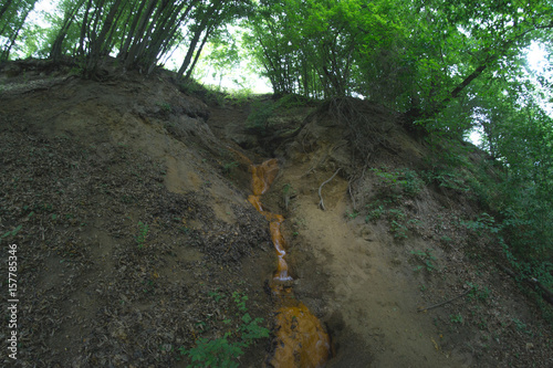 Forest spring in a rock in the forest. photo