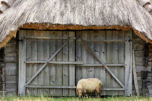 Skanzen, Hungarian Open Air Museum in Szentendre photo