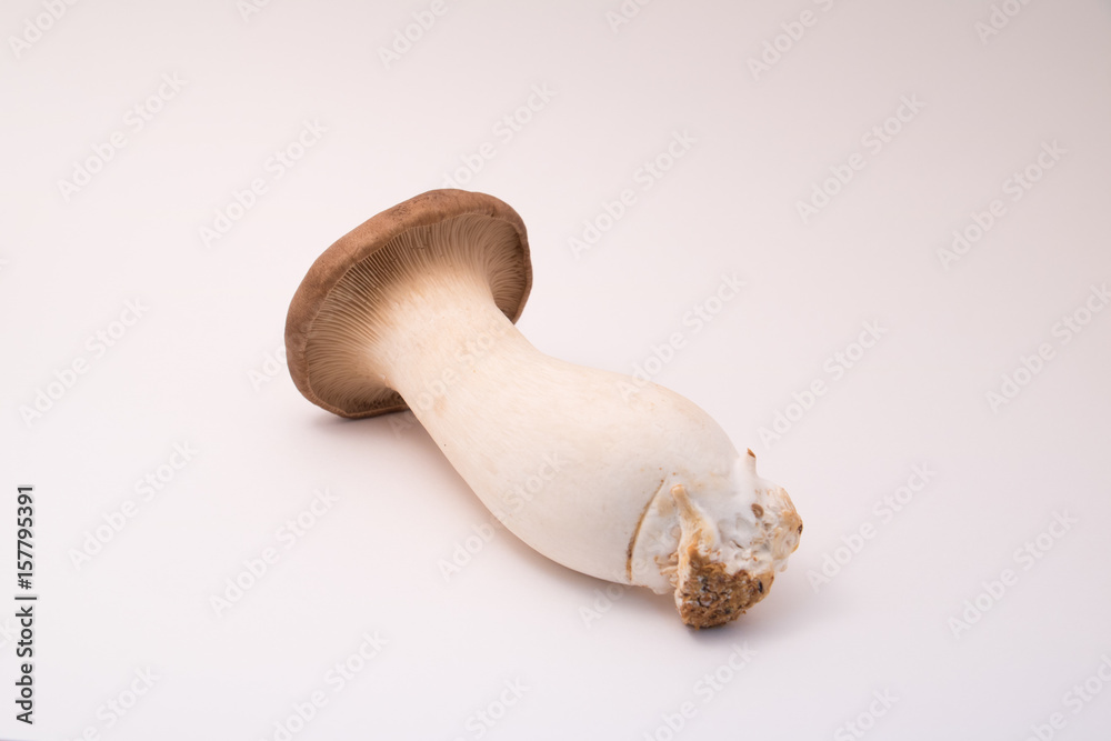 Fototapeta premium 大きなエリンギ