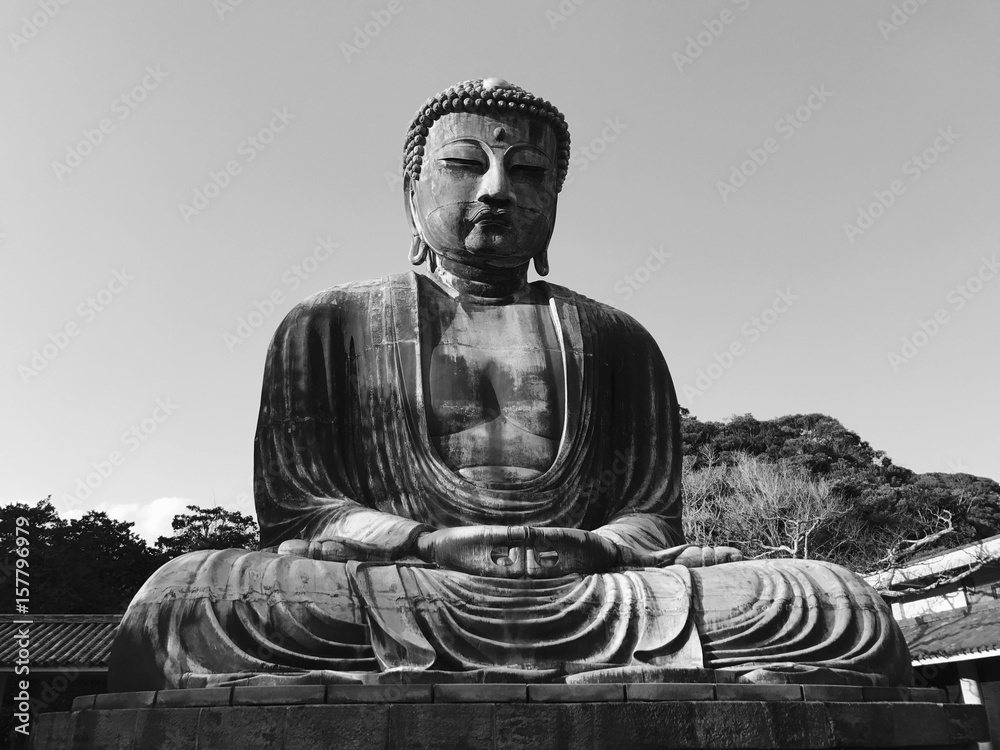 Fototapeta premium Buddha