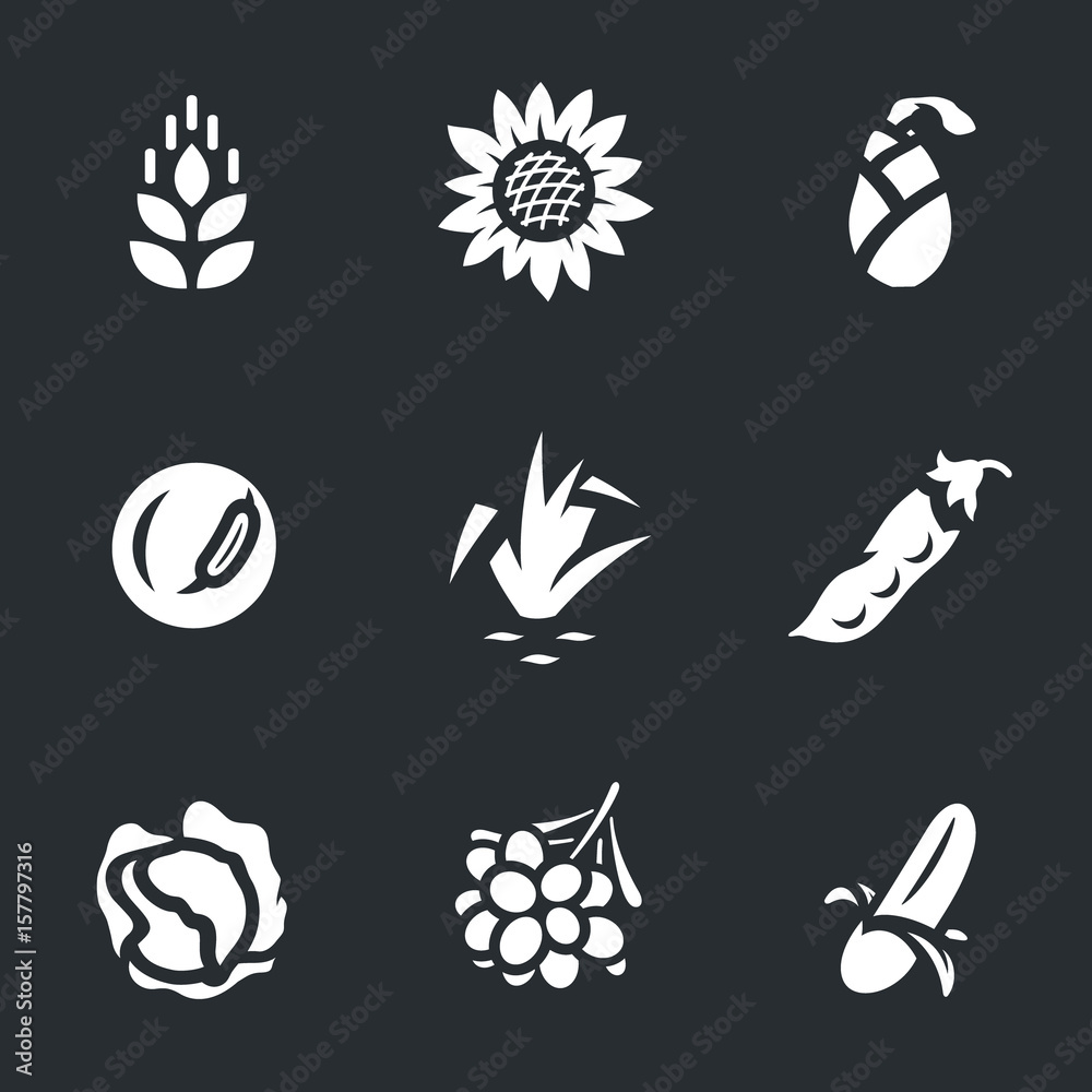 Vector Set of Harvest Icons. Vector Set of Harvest Icons.