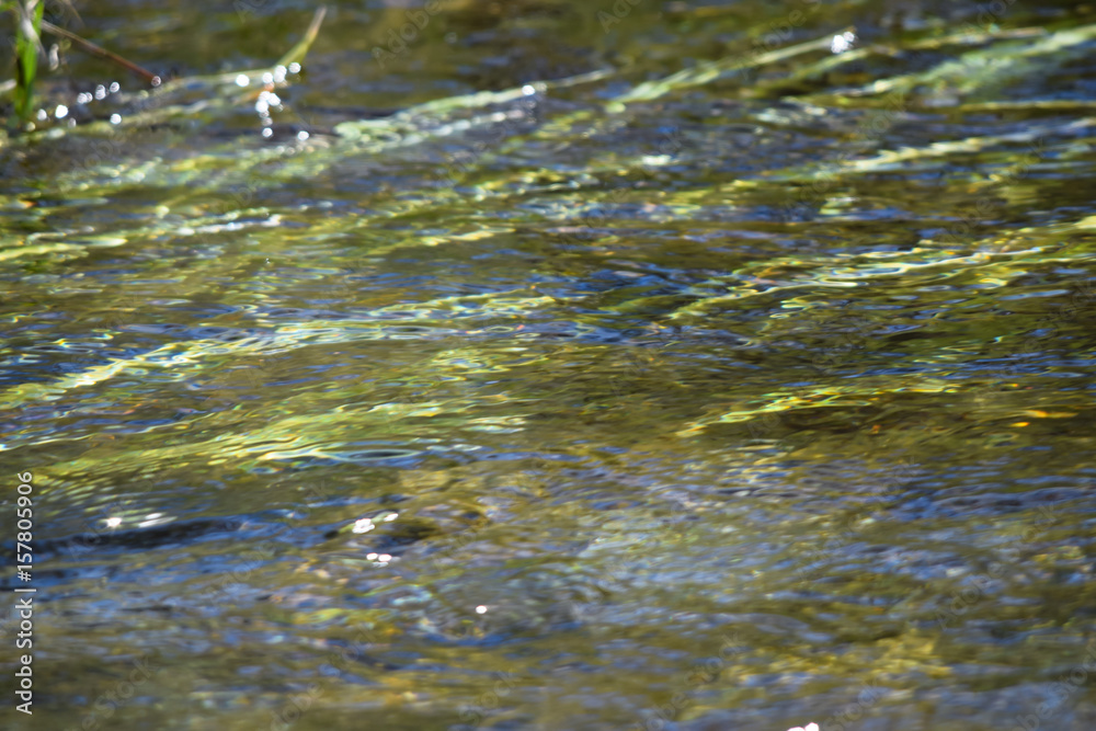 Creek Water Creek Water
