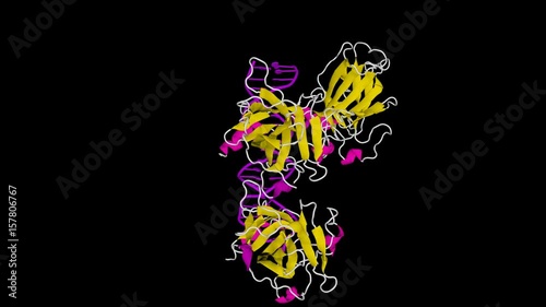 Molecules of protein p53 binding to a strand of DNA. Loop able, alpha channel, UHD. photo