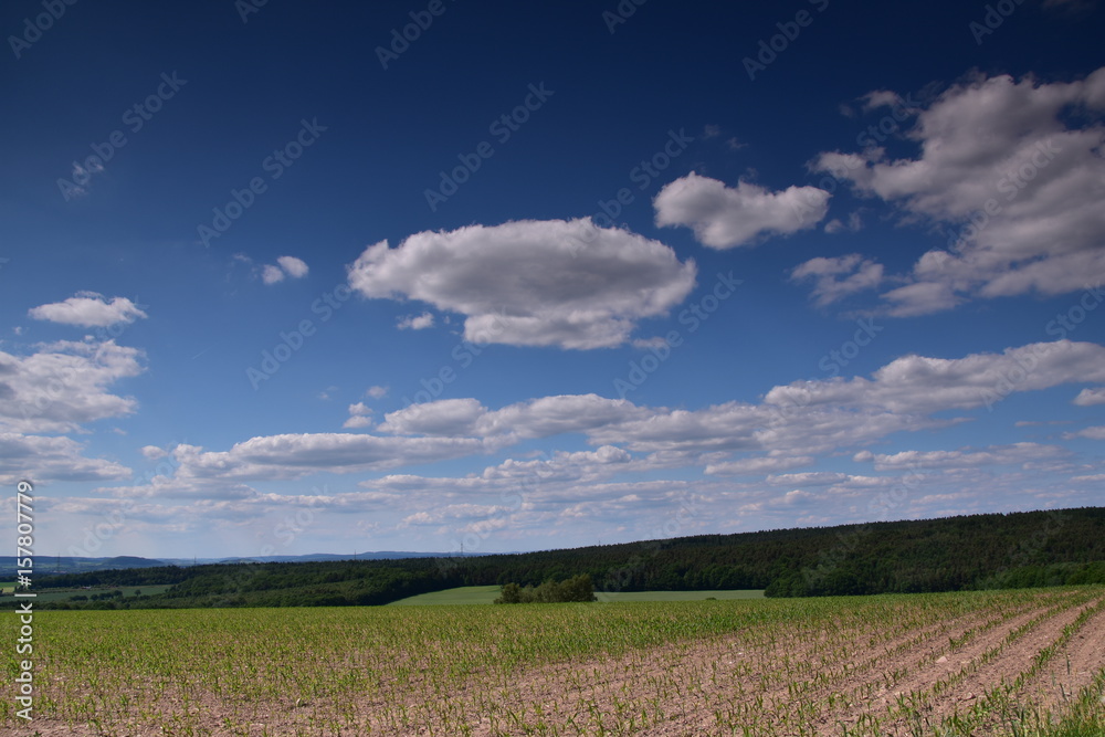 Cumulus Wolken