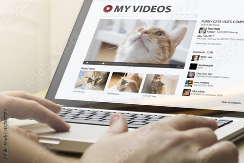 home computing videos cats photo