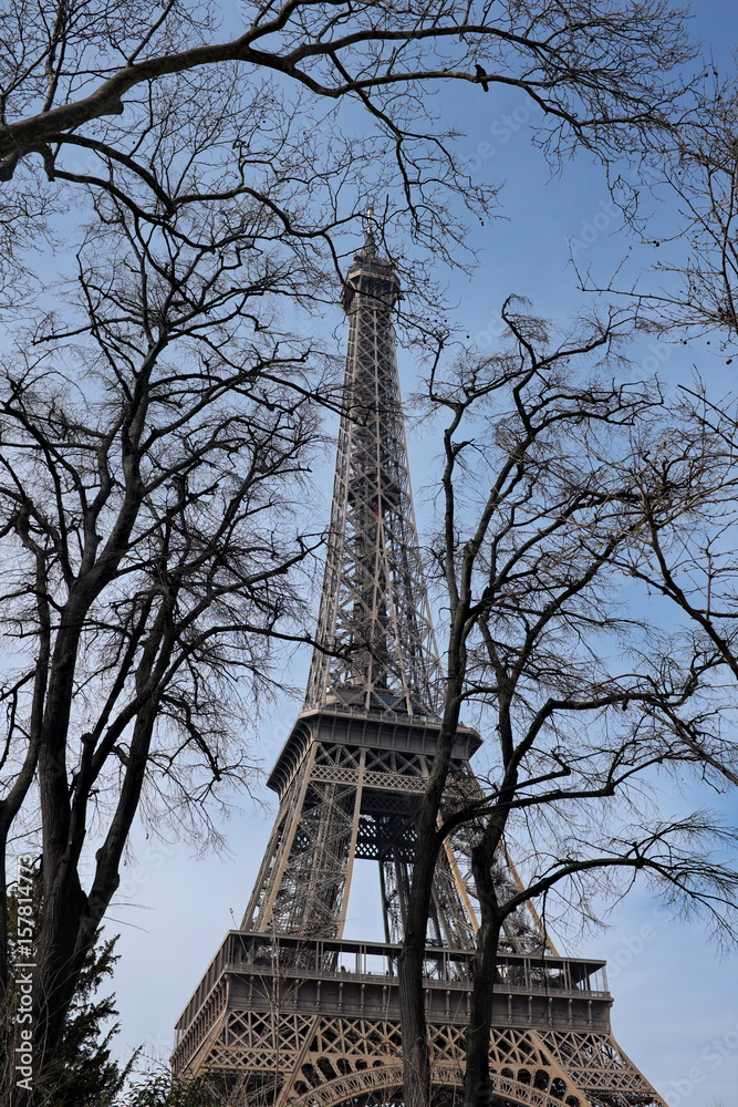 Tour Eiffel derrière des branchages. Paris, France.