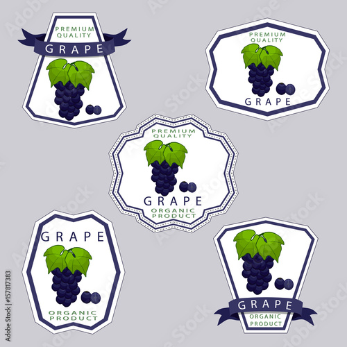 Abstract vector illustration logo for whole ripe berry grape with green stem leaf cut sliced on background.Grape drawing consisting of tag label peel pip ripe sweet food wine.Eat fresh bunch of grapes