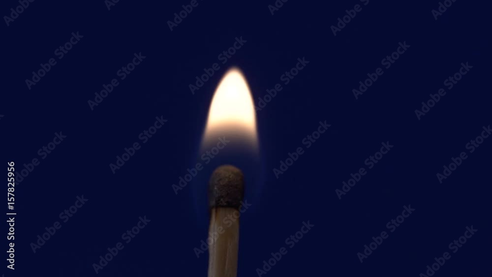Match burning on the blue background slow motion Match burning on the blue background slow motion