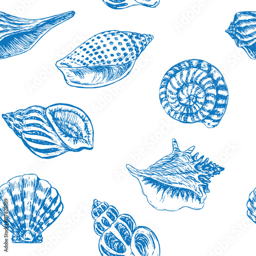 Sea shells variety, seamless pattern design, hand drawn doodle, sketch in pop art style, color illustration, blue on white background