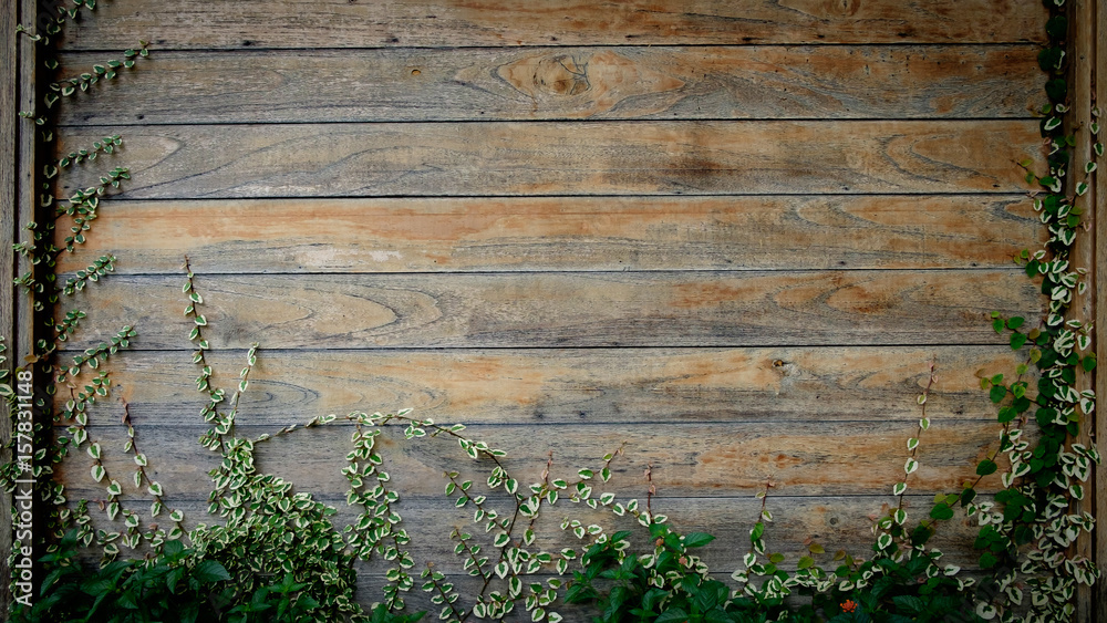 Fototapeta premium Leave wood wall