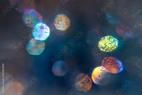 Soap Bubbles Colors Background