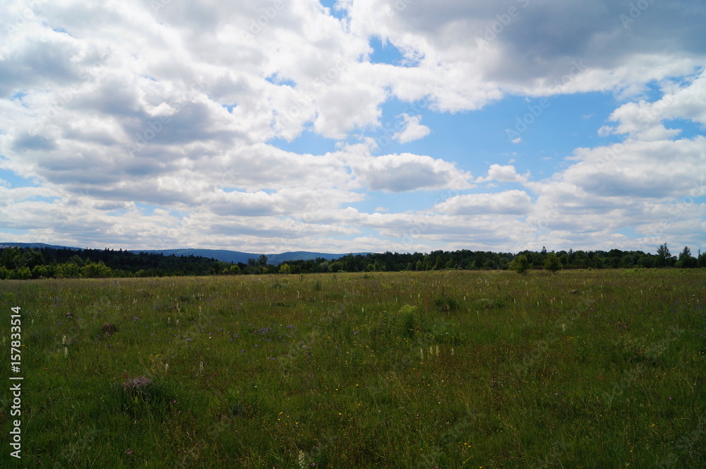 Panoramic view of the Carpathian mountains under the blue sky