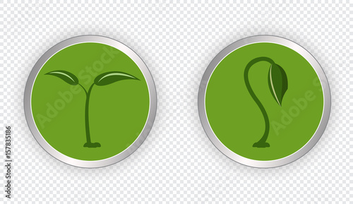 Silver button with green background and sprouts