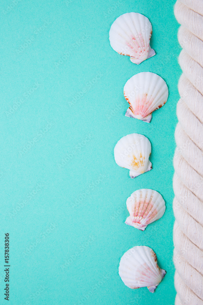 Sea rope and scallop shells on colored mint green background with negative space Sea rope and scallop shells on colored mint green background with negative space