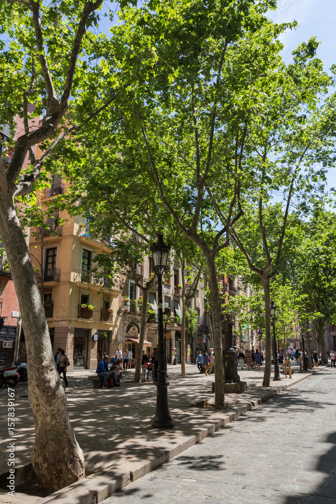 Avenue dans le quartier gothique de Barcelone
