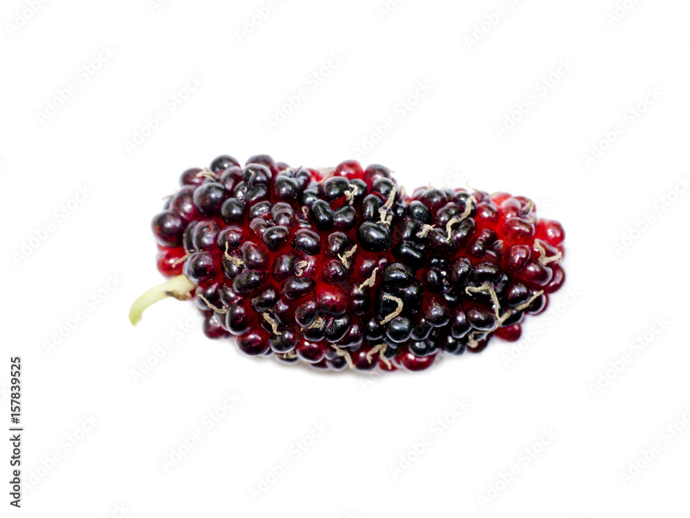 fresh organic mulberry fresh organic mulberry
