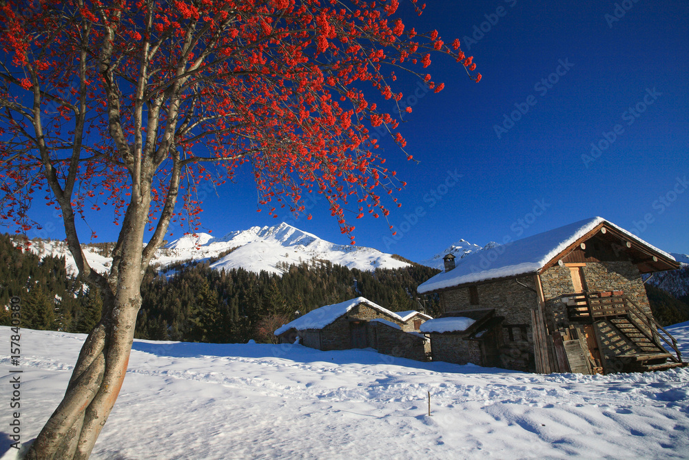 Fototapeta premium Bitto valley, Orobie Alps, Lombardy, italy