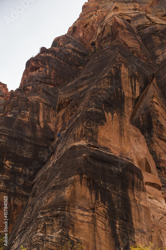 Zion National Park Landscapes