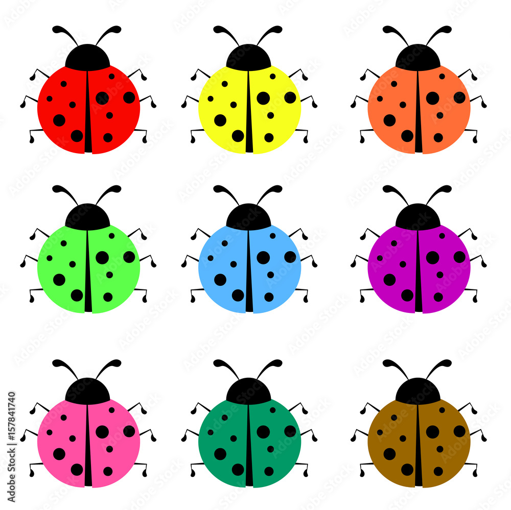 Fototapeta premium ladybug