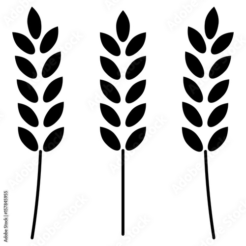 Wheat  the black color icon .