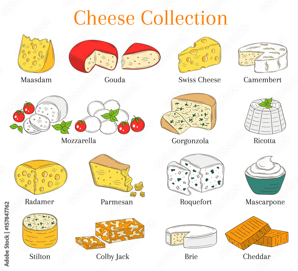 Vector set of different types of cheese, hand drawn illustration isolated on white background.