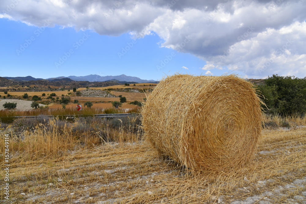 Cyprus landscape in spring with straw bales and mountains 