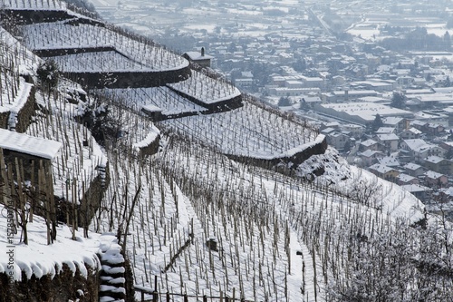 View of the vineyards in Valtellina in winter. Valtellina, Lombardy, Italy Europe