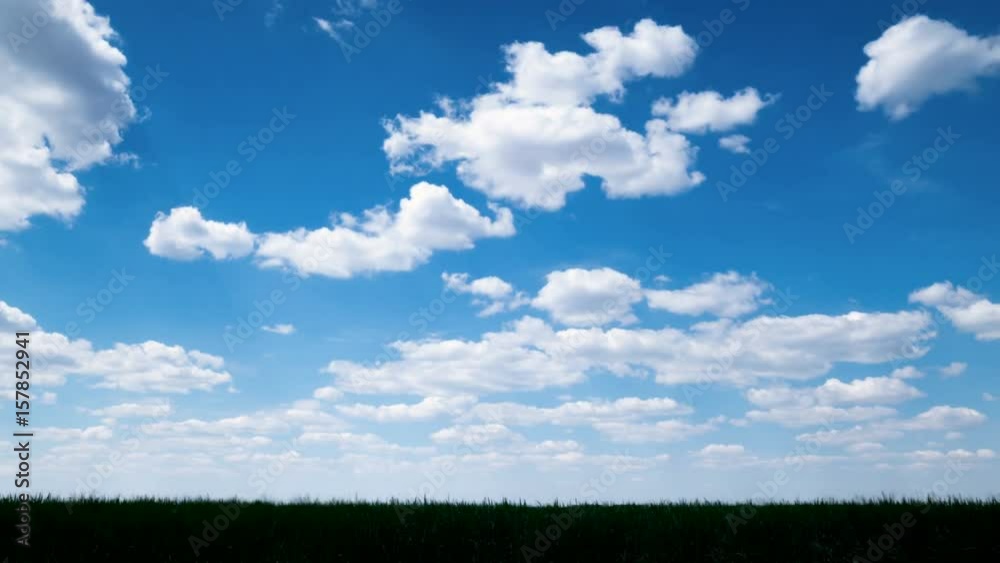 Timelapse. Farmers wheat field at spring. Green young wheat and blue sky. Timelapse. Farmers wheat field at spring. Green young wheat and blue sky.