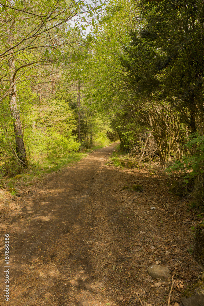 Fototapeta premium Hiking in torla ordesa, pyrenees of huesca