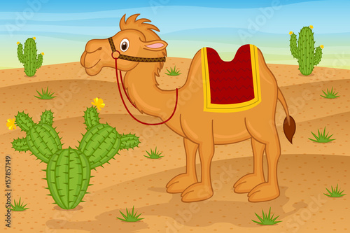 camel in desert  - vector illustration, eps