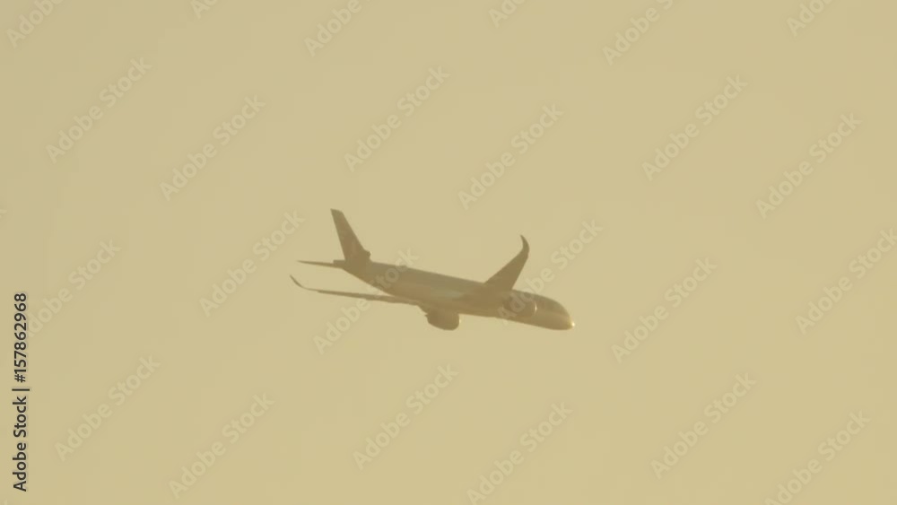 London Hyde Park, airplane passing on sunset London Hyde Park, airplane passing on sunset
