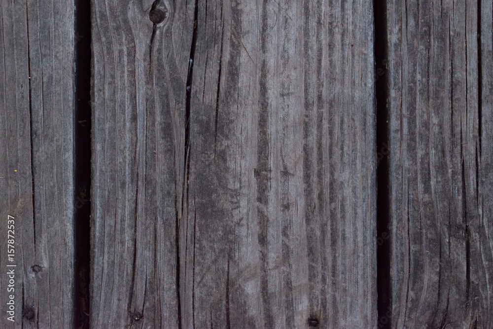 Fototapeta premium Wood
