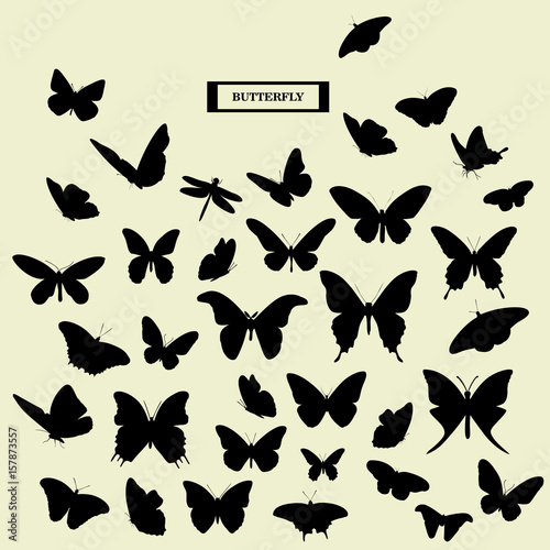 Vector set of butterfly silhouettes