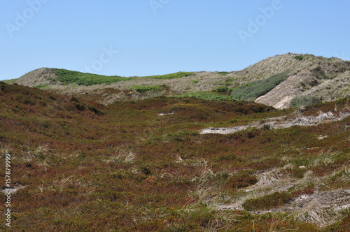 Dünenlandschaft an der deutschen Nordseeküste an einem sonnigen Tag im Frühling