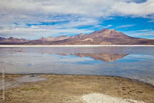 The volcanic cones of the Andes are reflected in the saltwater lagoon of the Salar de Surire Natural Monument. Chile. South America