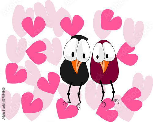 birds