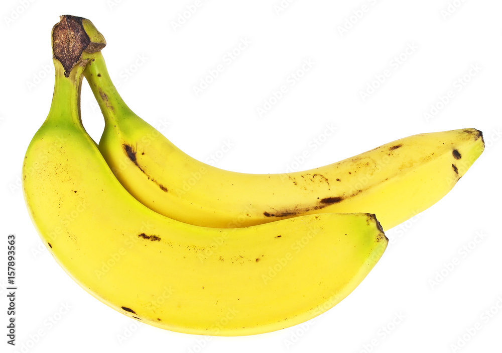 Bunch of bananas isolated on white background Bunch of bananas isolated on white background