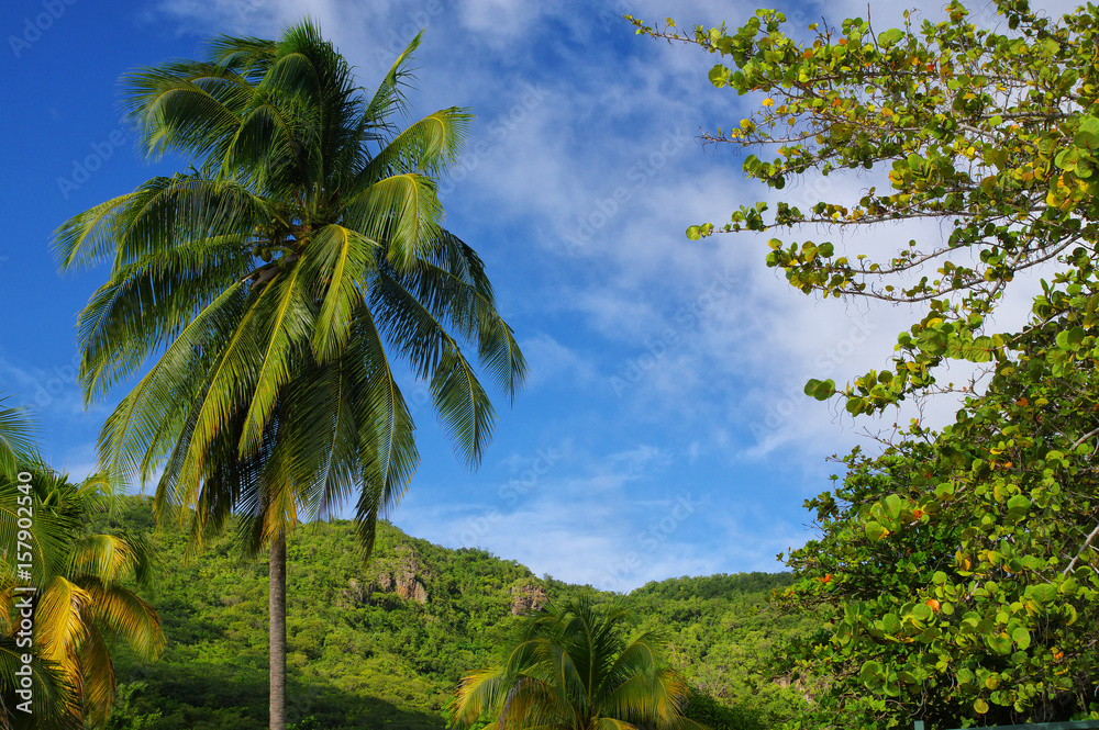 Grande Anse d'Arlet - Martinique - Caribbean island.