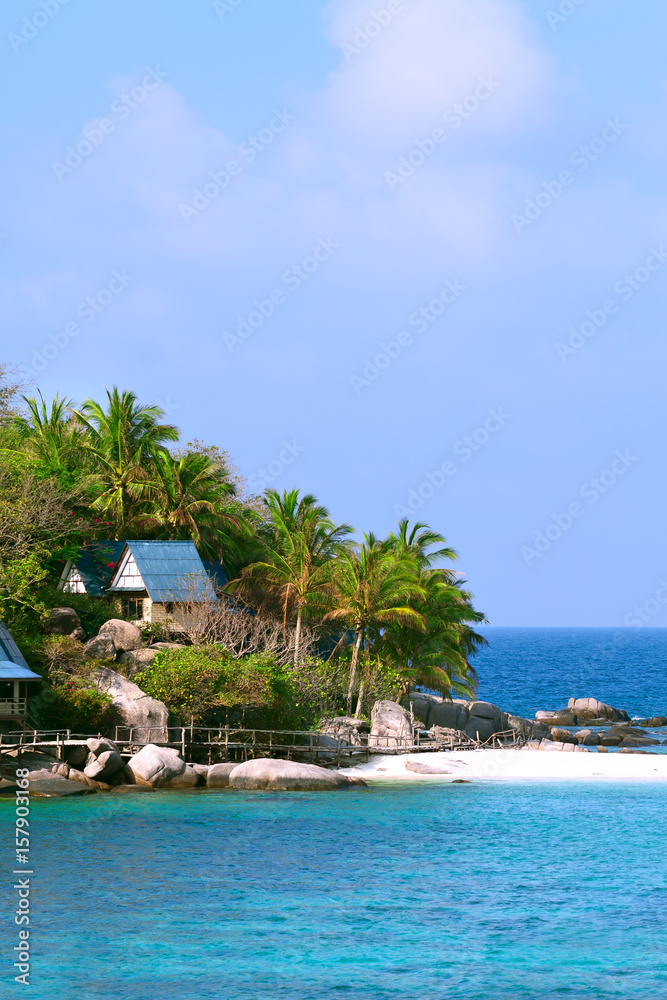 island of a palm tree house