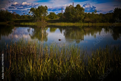 Spring day at the river.