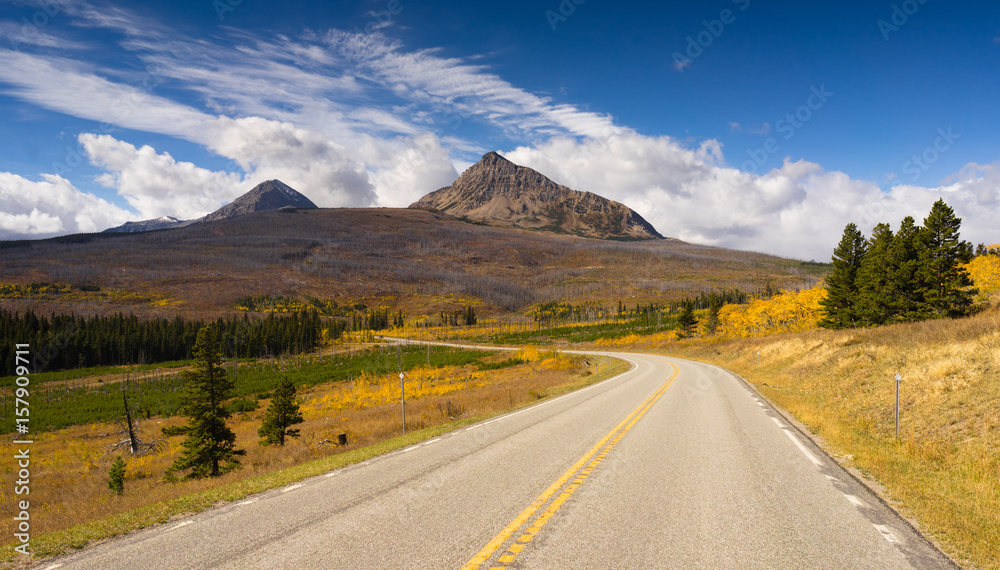 Fototapeta premium Burned Hillside Fire Damage Yellowstone Mountain Highway