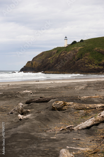 Pacific Ocean West Coast Beach Driftwood North Head Lighthouse photo