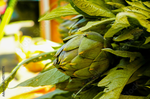 Fresh green artichokes flower heads with leaves ready to cook seasonal food