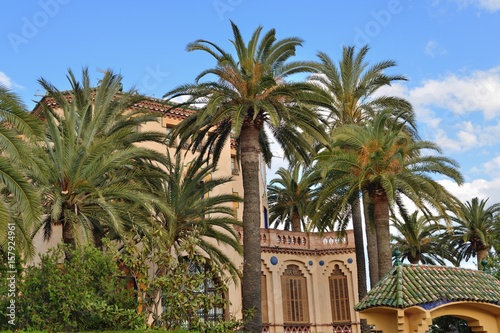 view of the beautiful house surrounded by palm trees © sergiy1975