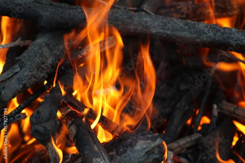 campfire flames