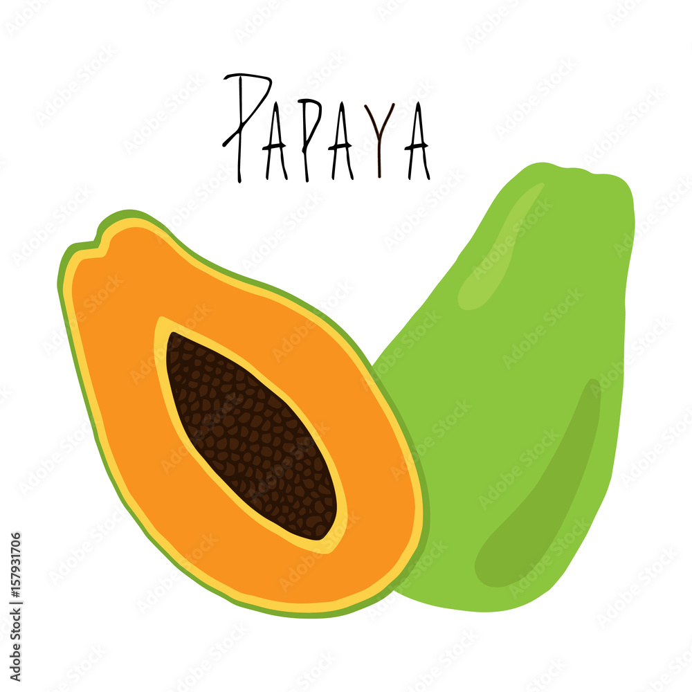 Papaya vector doodle illustration drawing, cut in half ripe papaya ...