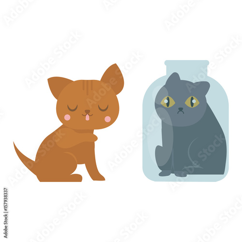 Cute cats character different pose funny animal domestic kitten vector illust...