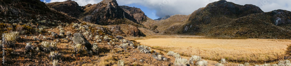 Lagoon dry, moor of rabbits 